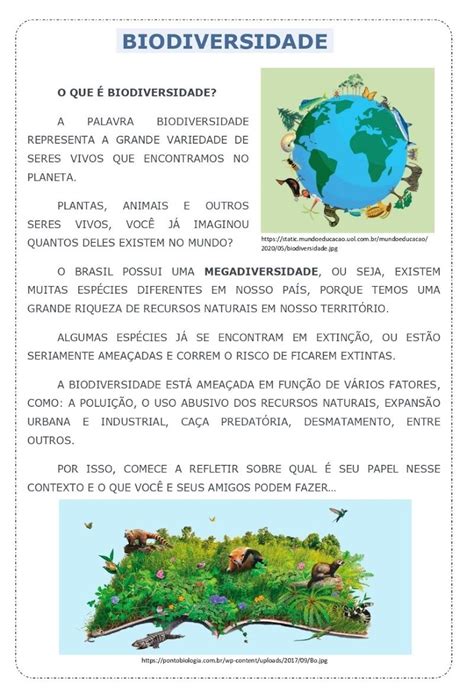 segundo o texto 3 o brasil poderá perder até 25 da sua biodiversidade até 2050 o que significa
